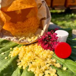 Bienenwachspastillen für kosmetische Zwecke, 100g